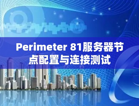 Perimeter 81服务器节点配置与连接测试