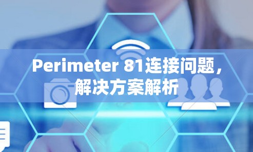 Perimeter 81连接问题，解决方案解析