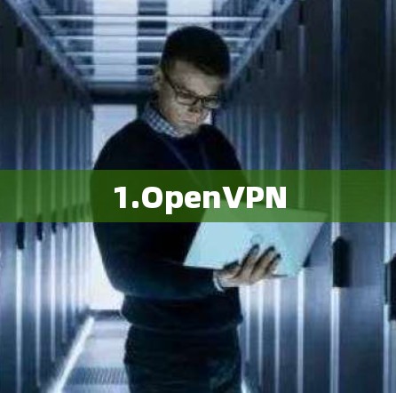 1.OpenVPN