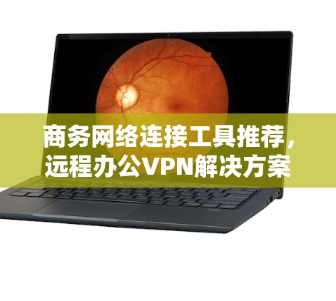 商务网络连接工具推荐，远程办公VPN解决方案