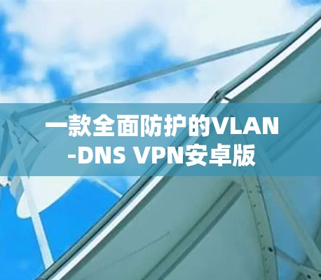 一款全面防护的VLAN-DNS VPN安卓版
