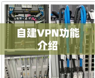 自建VPN功能介绍 自建VPN功能介绍