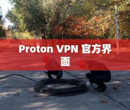 Proton VPN 官方界面 Proton VPN 官方界面