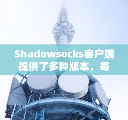 Shadowsocks客户端提供了多种版本，每版本都有其独特的特点和推荐理由。以下是几个热门的版本和推荐建议
