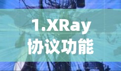 1.XRay协议功能