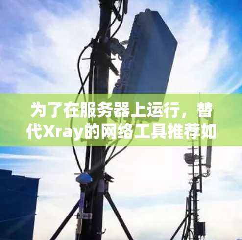 为了在服务器上运行,替代Xray的网络工具推荐如下 为了在服务器上运行,替代Xray的网络工具推荐如下