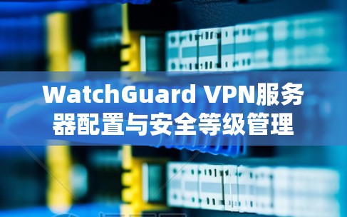 WatchGuard VPN服务器配置与安全等级管理