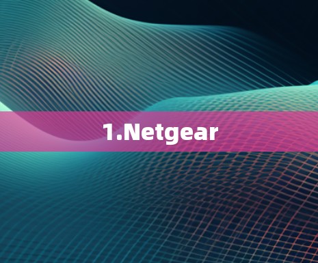 1.Netgear 1.Netgear