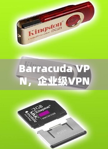 Barracuda VPN，企业级VPN解决方案，助力数据安全与合规