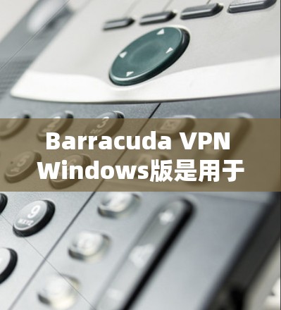 Barracuda VPN Windows版是用于VPN的软件，支持不限速、不限流和不限距离的设置。以下是一些连接Barracuda VPN Windows版的基本步骤和指南