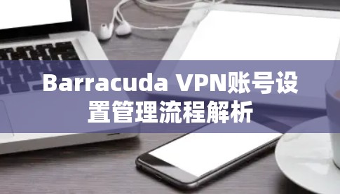 Barracuda VPN账号设置管理流程解析