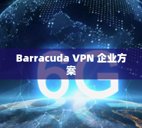 Barracuda VPN 企业方案