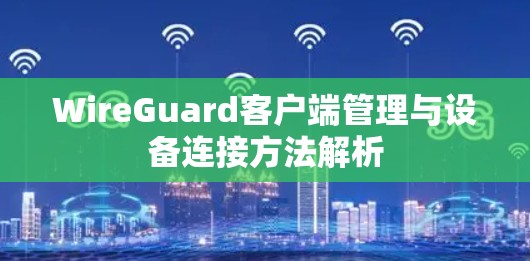 WireGuard客户端管理与设备连接方法解析