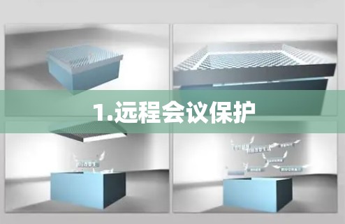 1.远程会议保护