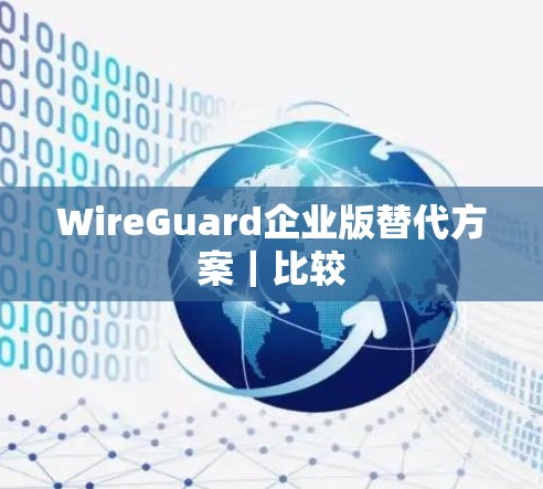 WireGuard企业版替代方案|比较 WireGuard企业版替代方案|比较