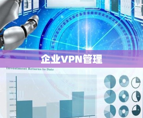 企业VPN管理