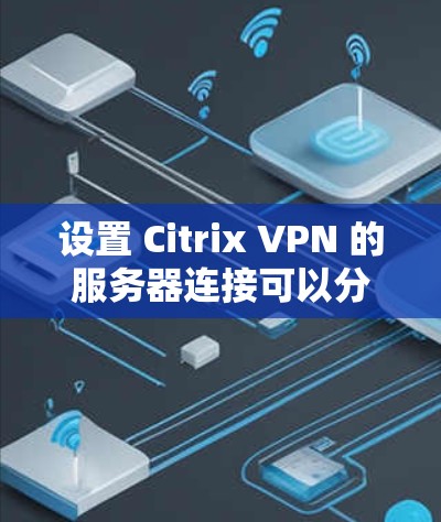 设置 Citrix VPN 的服务器连接可以分为几个步骤