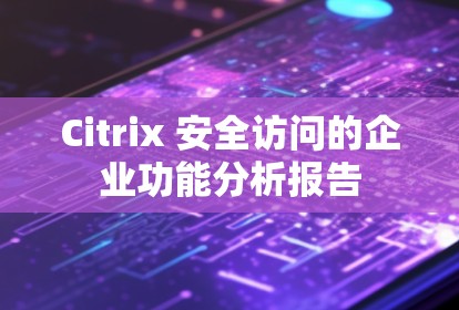 Citrix 安全访问的企业功能分析报告