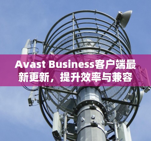 Avast Business客户端最新更新，提升效率与兼容性