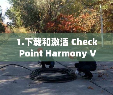 1.下载和激活 Check Point Harmony VPN