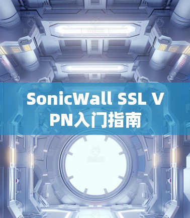 SonicWall SSL VPN入门指南 SonicWall SSL VPN入门指南