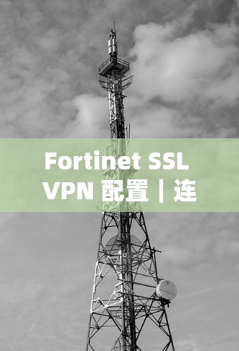 Fortinet SSL VPN 配置｜连接指南