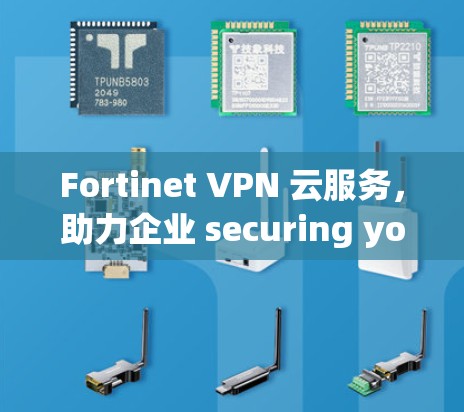 Fortinet VPN 云服务，助力企业 securing your network