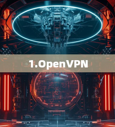 1.OpenVPN 1.OpenVPN