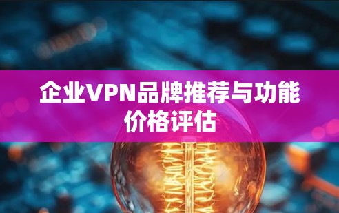 企业VPN品牌推荐与功能价格评估