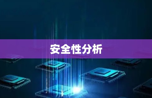 安全性分析