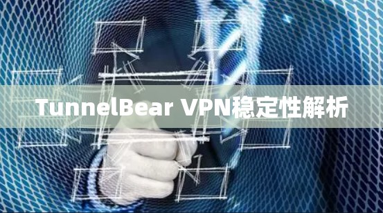 TunnelBear VPN稳定性解析