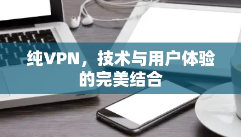纯VPN,技术与用户体验的完美结合 纯VPN,技术与用户体验的完美结合
