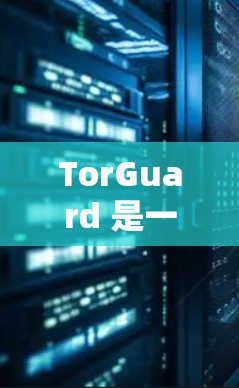 TorGuard 是一个提供VPN服务的平台，专注于提供稳定且安全的连接体验。如果您对 TorGuard 的 VPN 线路感兴趣，我们可以提供以下信息