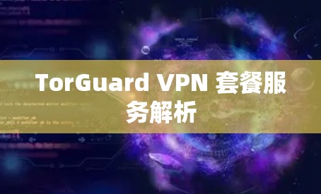 TorGuard VPN 套餐服务解析