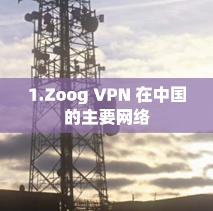 1.Zoog VPN 在中国的主要网络 1.Zoog VPN 在中国的主要网络