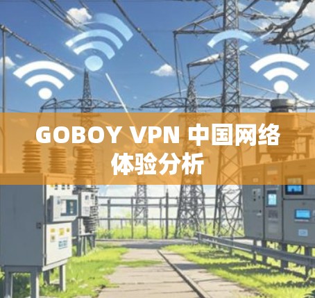 GOBOY VPN 中国网络体验分析