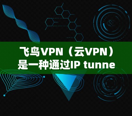 飞鸟VPN（云VPN）是一种通过IP tunnel技术实现的云服务，其特点是通过外部服务器来加密内部服务器的数据流量。以下是关于飞鸟VPN节点测速和线路稳定性分析的详细内容
