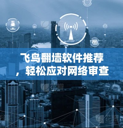 飞鸟翻墙软件推荐,轻松应对网络审查 飞鸟翻墙软件推荐,轻松应对网络审查