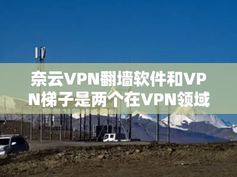 奈云VPN翻墙软件和VPN梯子是两个在VPN领域中广泛应用的工具，它们各有其独特的功能和适用场景。以下是对两者的详细对比和总结