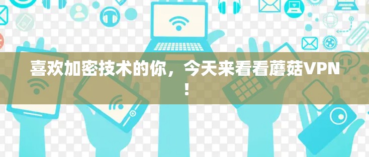 喜欢加密技术的你，今天来看看蘑菇VPN！