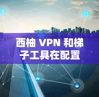 西柚 VPN 和梯子工具在配置和管理网络环境方面各有特点,具体适用性取决于您的需求和使用场景。以下是对两者进行的比较和评测 西柚 VPN 和梯子工具在配置和管理网络环境方面各有特点,具体适用性取决于您的需求和使用场景。以下是对两者进行的比较和评测