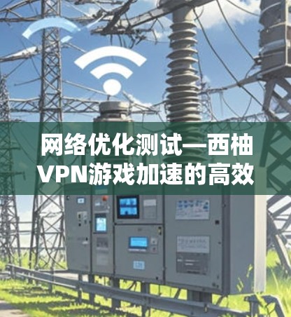 网络优化测试—西柚VPN游戏加速的高效体验