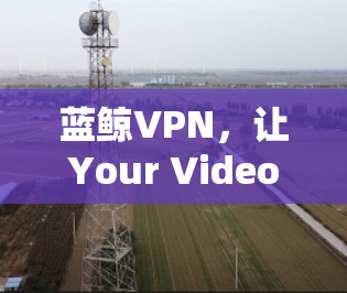 蓝鲸VPN,让Your Video Go Fast的高效VPN解决方案 蓝鲸VPN,让Your Video Go Fast的高效VPN解决方案