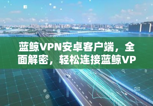 蓝鲸VPN安卓客户端，全面解密，轻松连接蓝鲸VPN