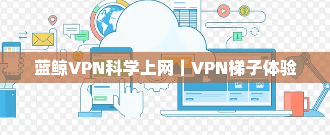 蓝鲸VPN科学上网｜VPN梯子体验