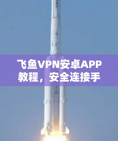 飞鱼VPN安卓APP教程,安全连接手机轻松上网 飞鱼VPN安卓APP教程,安全连接手机轻松上网