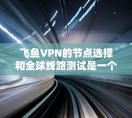 飞鱼VPN的节点选择和全球线路测试是一个复杂的过程，需要综合考虑多个因素。以下是一些关键点，帮助你更好地理解和操作
