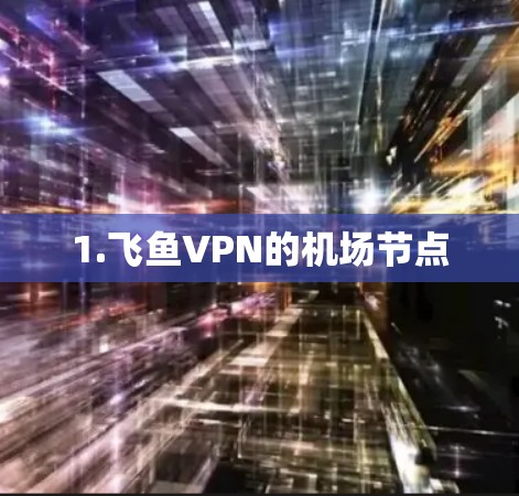 1.飞鱼VPN的机场节点