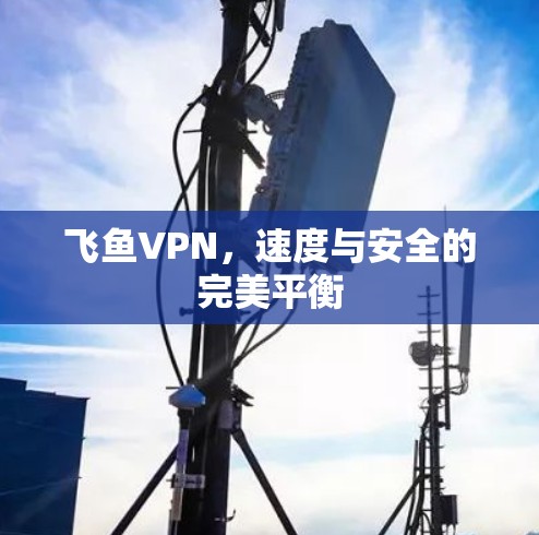飞鱼VPN，速度与安全的完美平衡