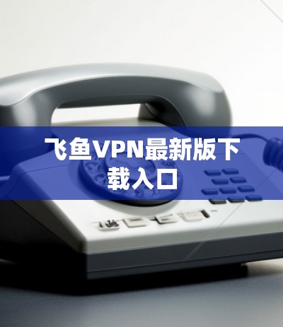 飞鱼VPN最新版下载入口